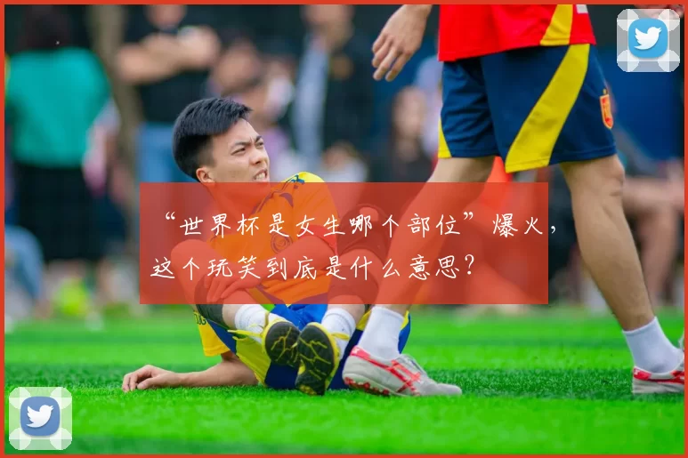 “世界杯是女生哪个部位”爆火,这个玩笑到底是什么意思?