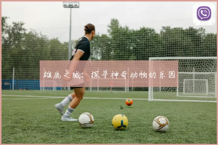雄鹿之城：探寻神奇动物的乐园
