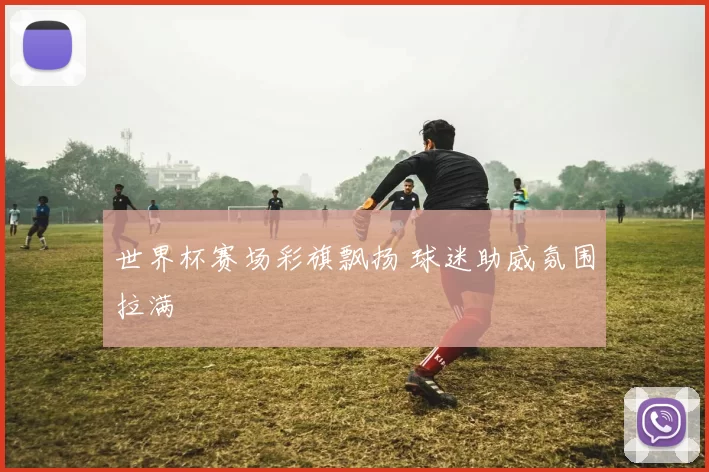 世界杯赛场彩旗飘扬 球迷助威氛围拉满