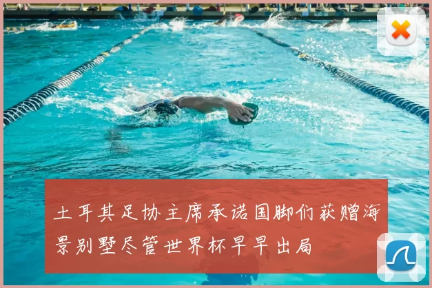 土耳其足协主席承诺国脚们获赠海景别墅尽管世界杯早早出局