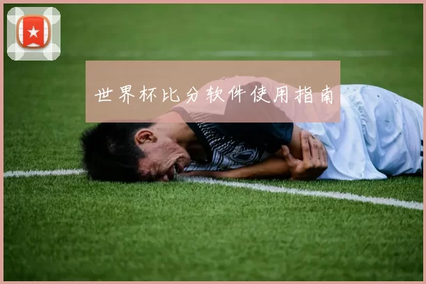 世界杯比分软件使用指南