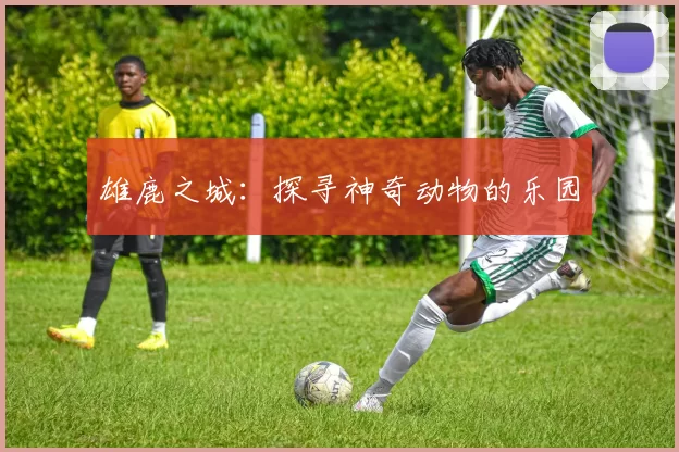 雄鹿之城：探寻神奇动物的乐园