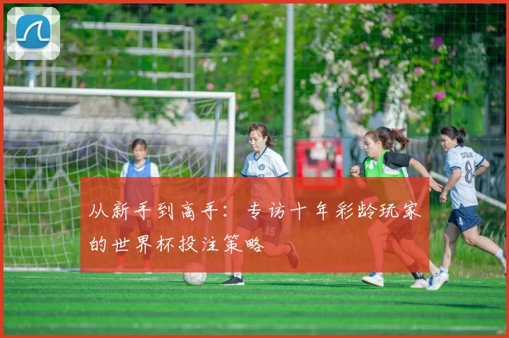 从新手到高手:专访十年彩龄玩家的世界杯投注策略