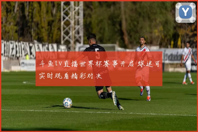 斗鱼tv直播世界杯赛事开启 球迷可实时观看精彩对决