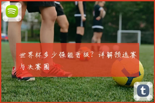 世界杯多少强能晋级？详解预选赛与决赛圈