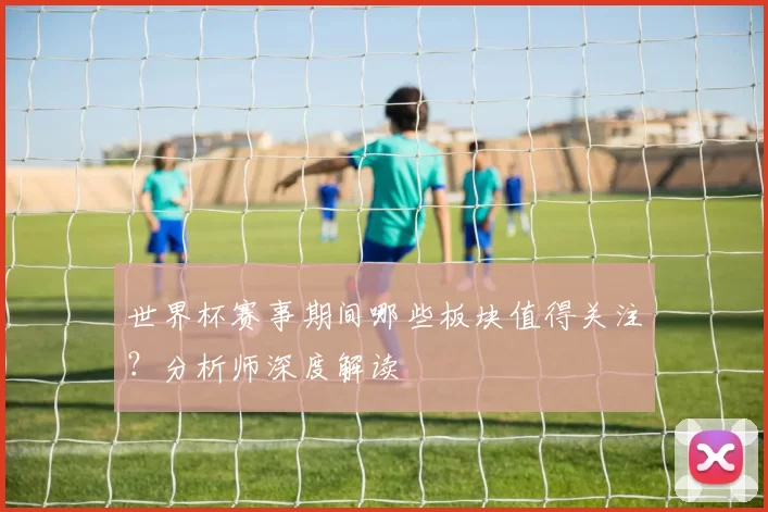 世界杯赛事期间哪些板块值得关注?分析师深度解读